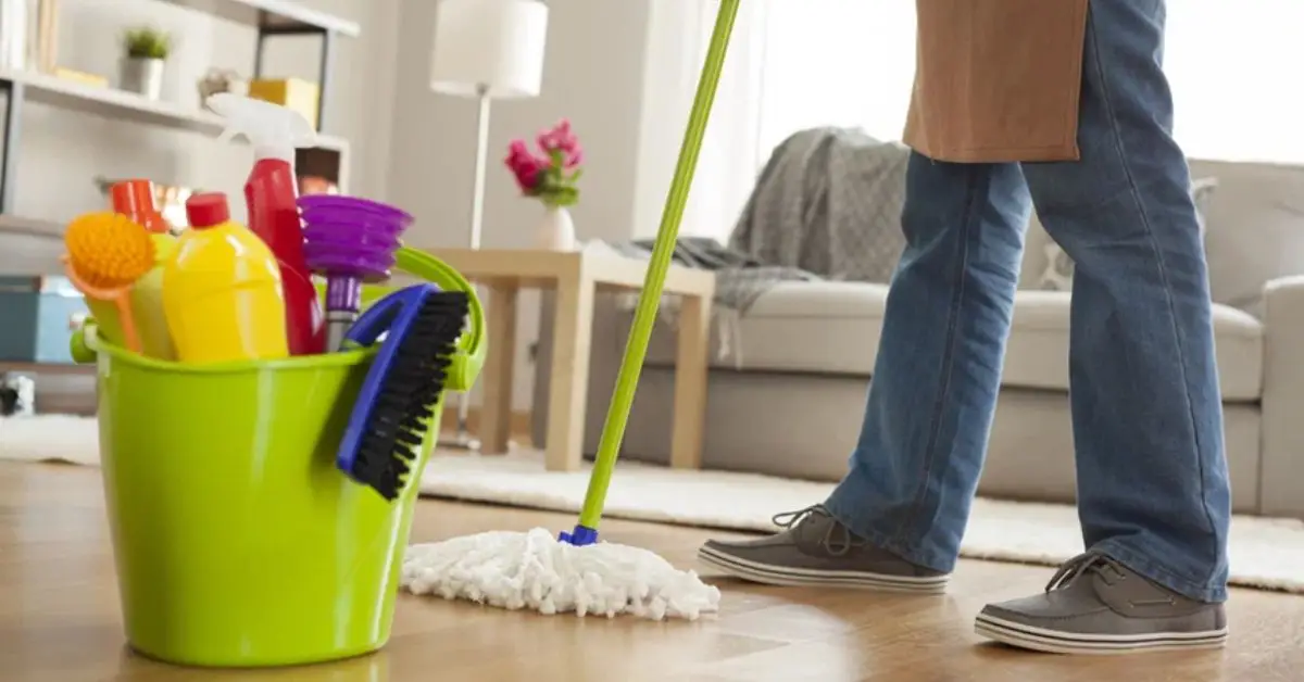 Get rid of dust in home