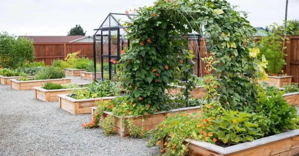 Home Improvement Projects You Can Do Yourself
