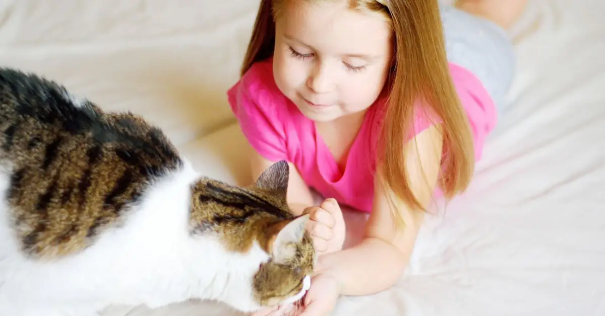 Home safety for toddlers with pets