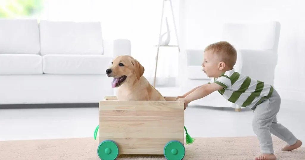 Home safety for toddlers with pets