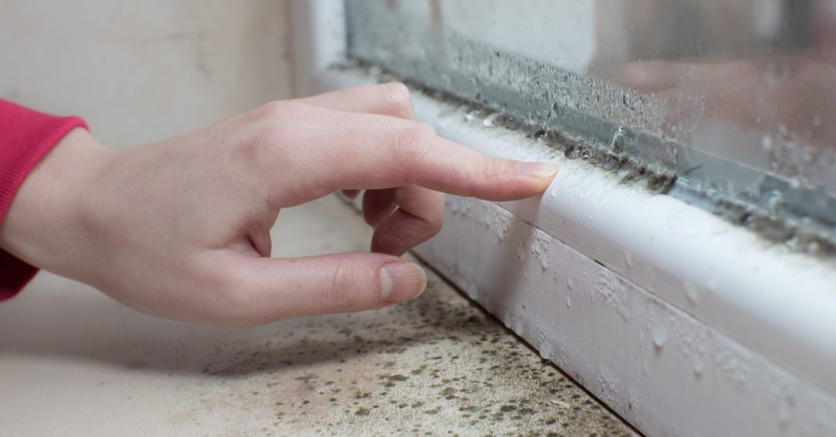 How to Make Your Home Spider-Free