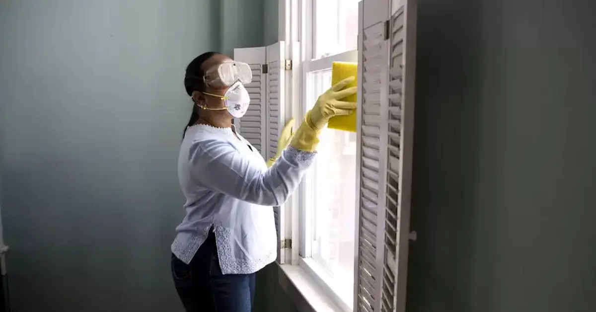 How to clean mold from wood