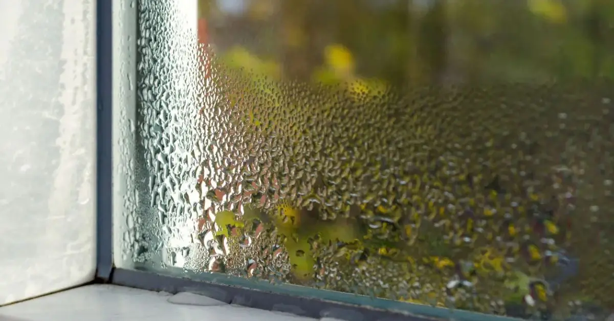 How to clean mold from wood