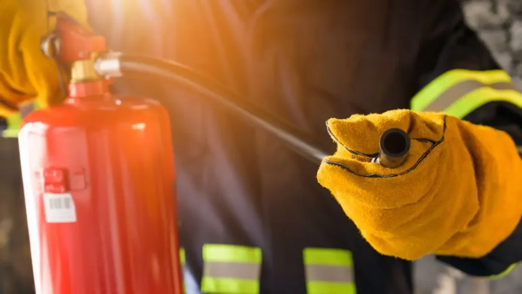 Seattle Home Fire