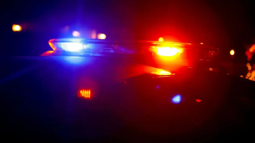 Woodland Hills Home Burglary