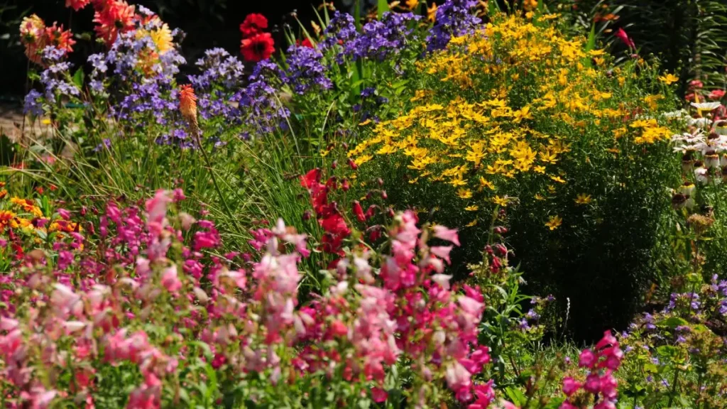 defensive plants for home security