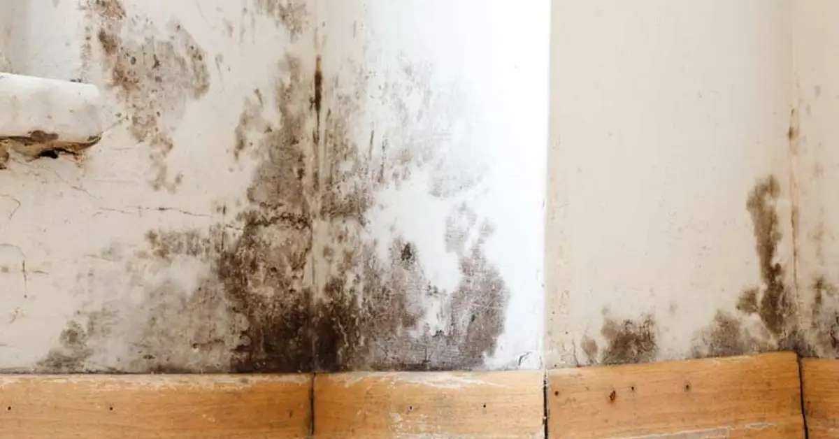 hidden dangers in your home