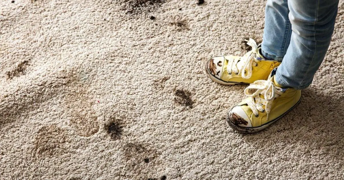 why you shouldn’t keep shoes in bedroom