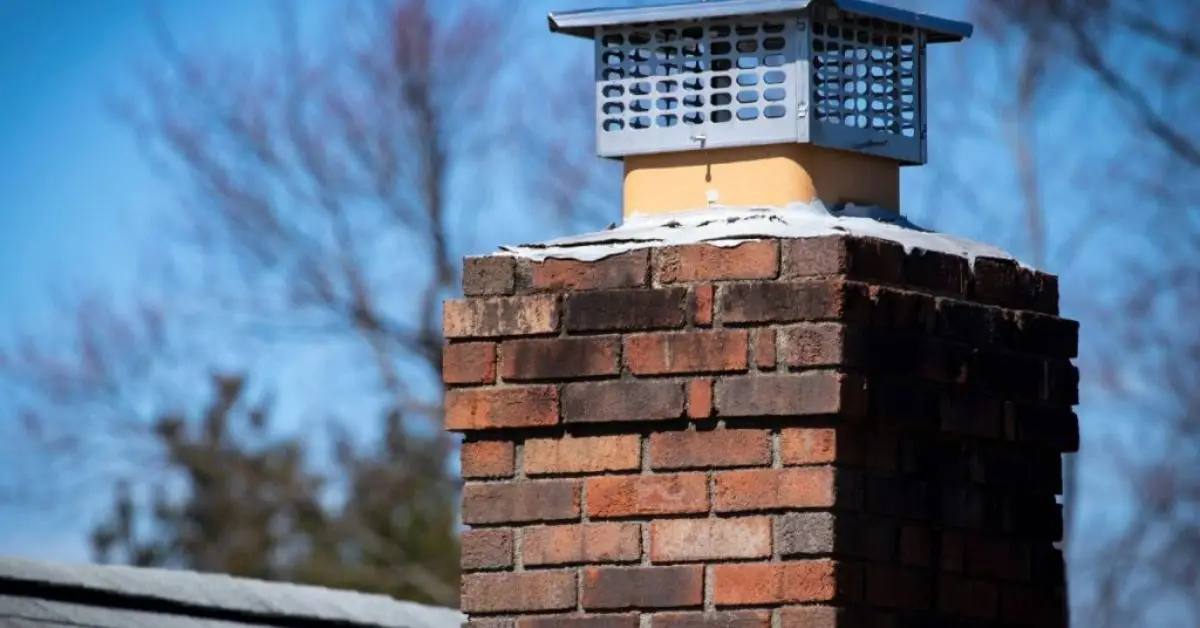 Common Pest Entry Points