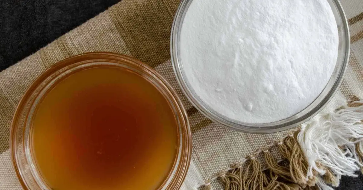 DIY Mosquito Traps