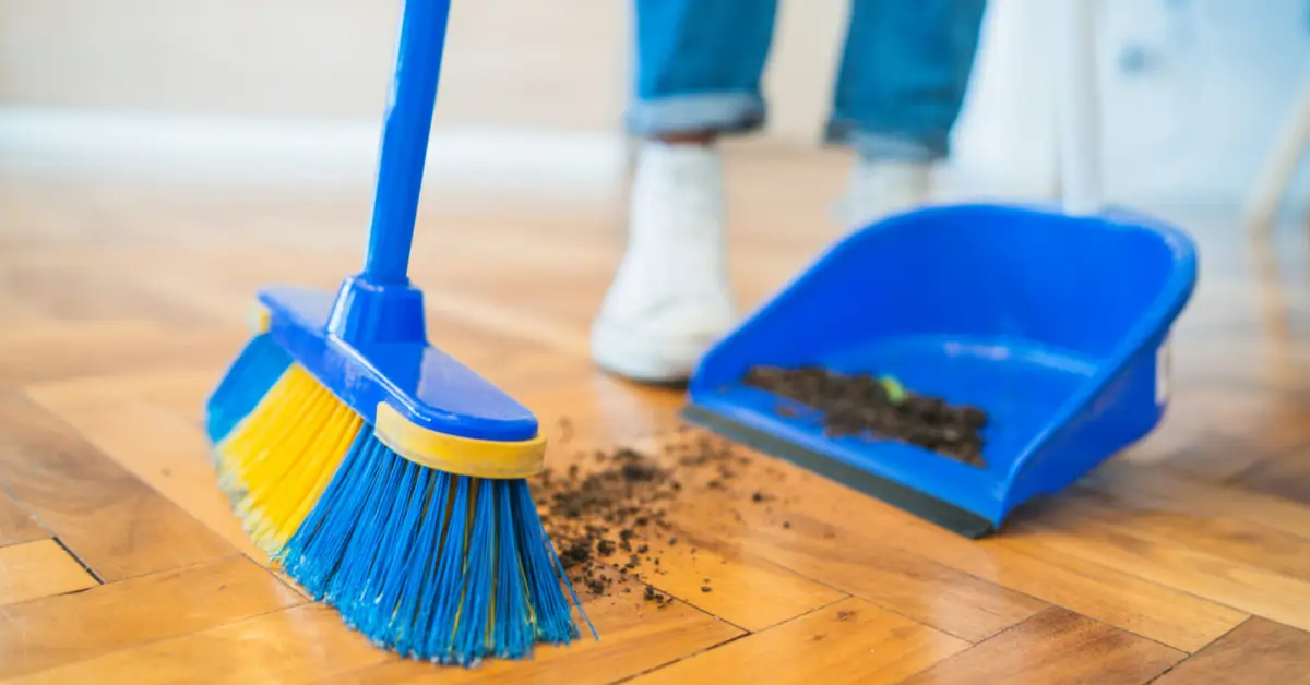 How Often Should You Sweep