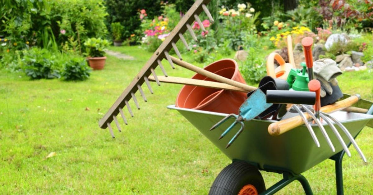 How to keep pests out in fall