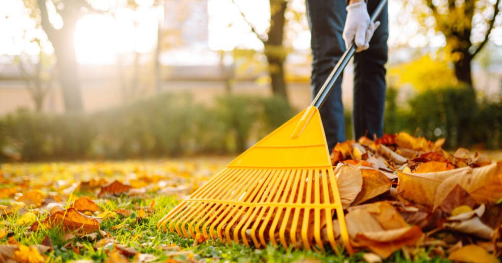 How to keep pests out in fall