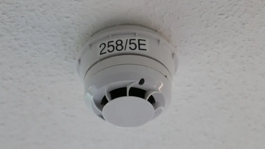 Long Island Home Fire