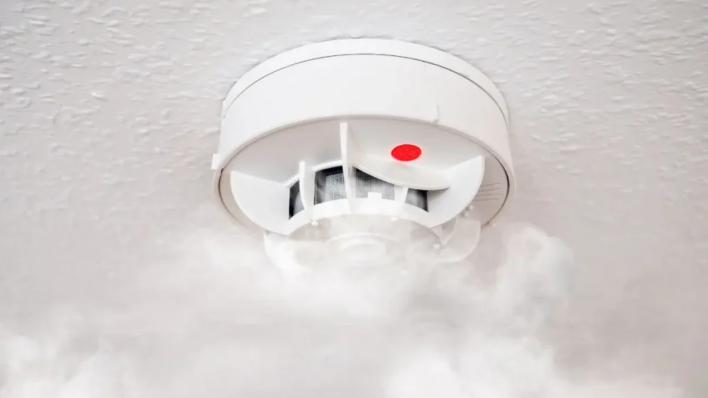 Minnesota Home Fire