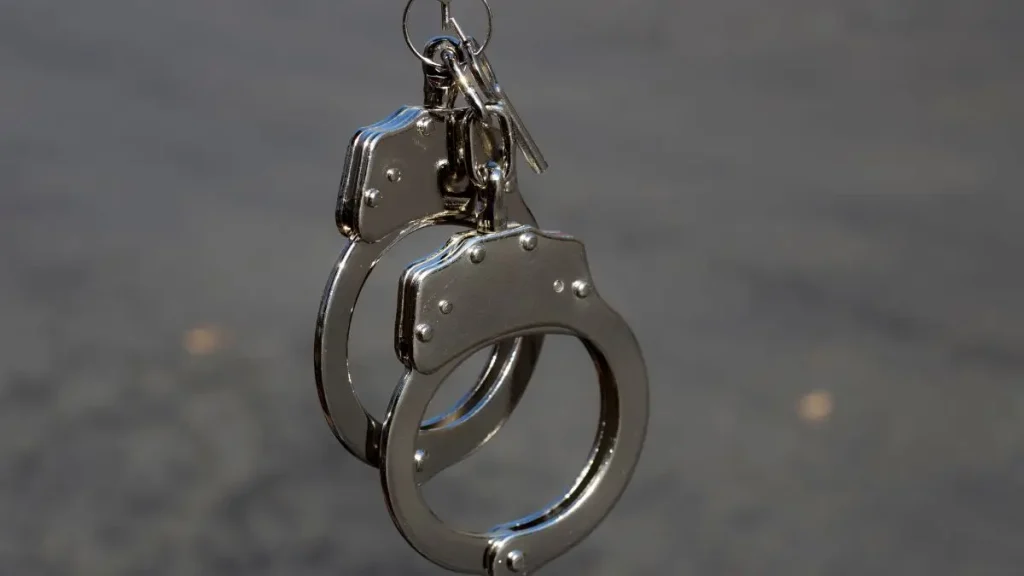 Oak Forest Home Burglary