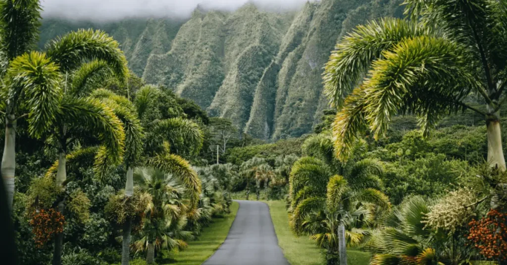 death disclosure law in Hawaii