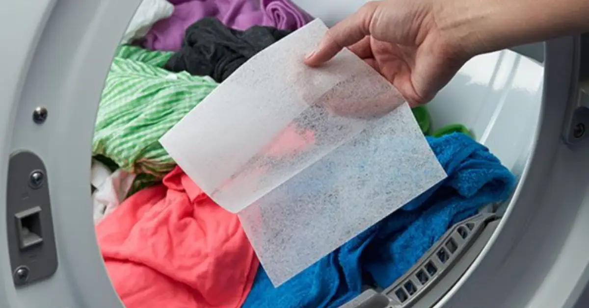 everyday habits to prevent dust buildup