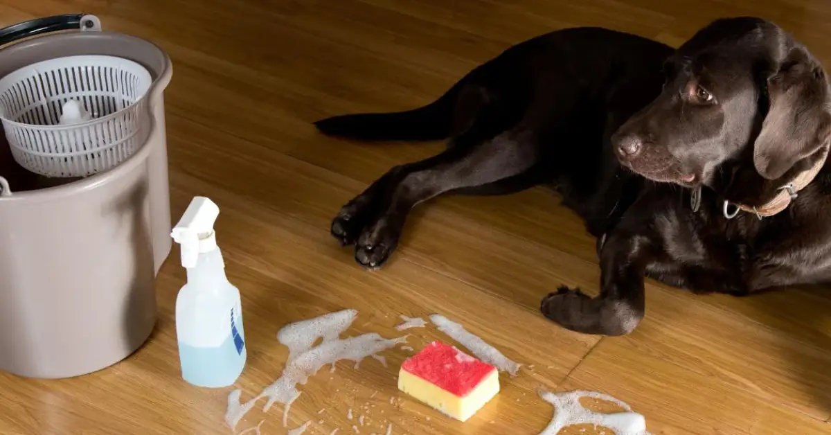 home odors you don’t smell