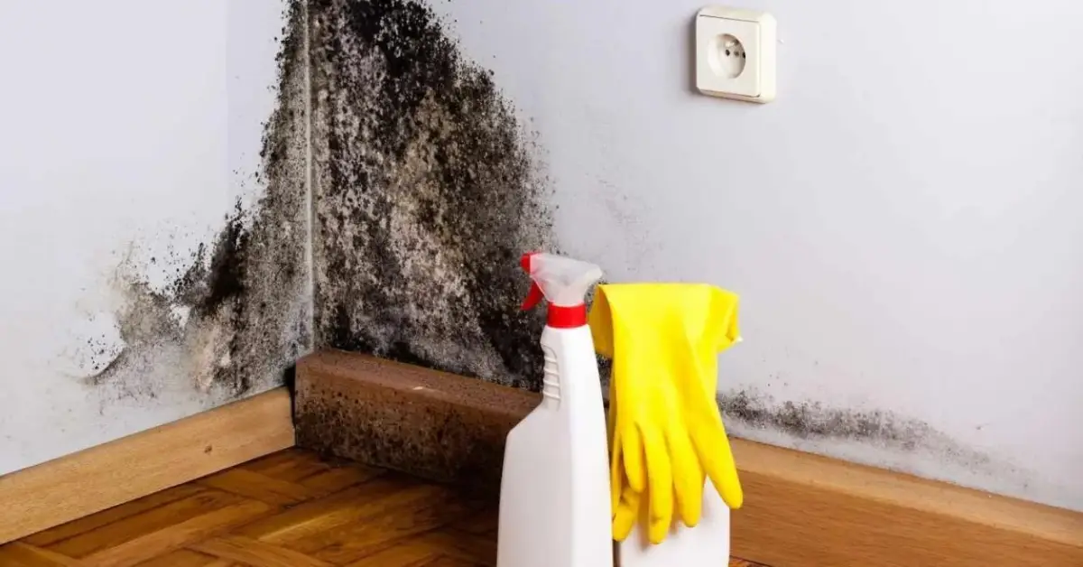 home odors you don’t smell