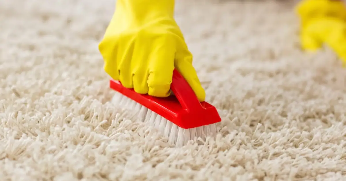 how to deep clean carpet without machine