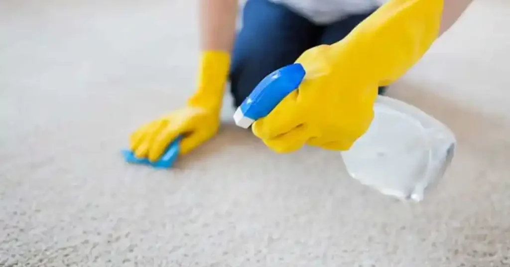 how to deep clean carpet without machine