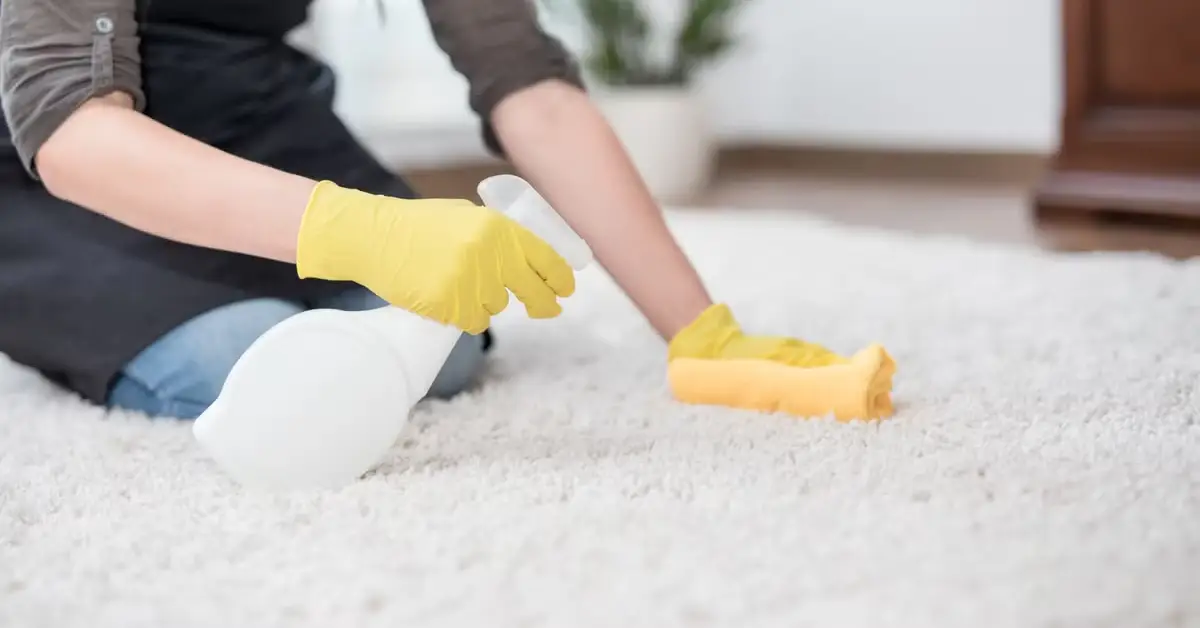 how to deep clean carpet without machine