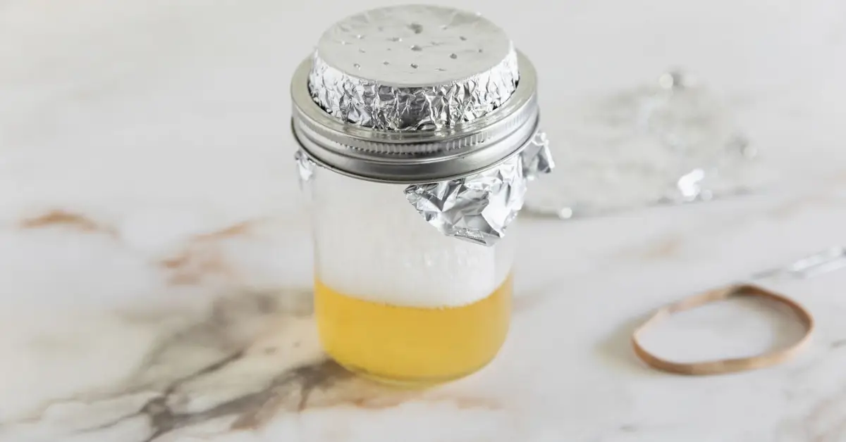how to get rid of house flies with vinegar