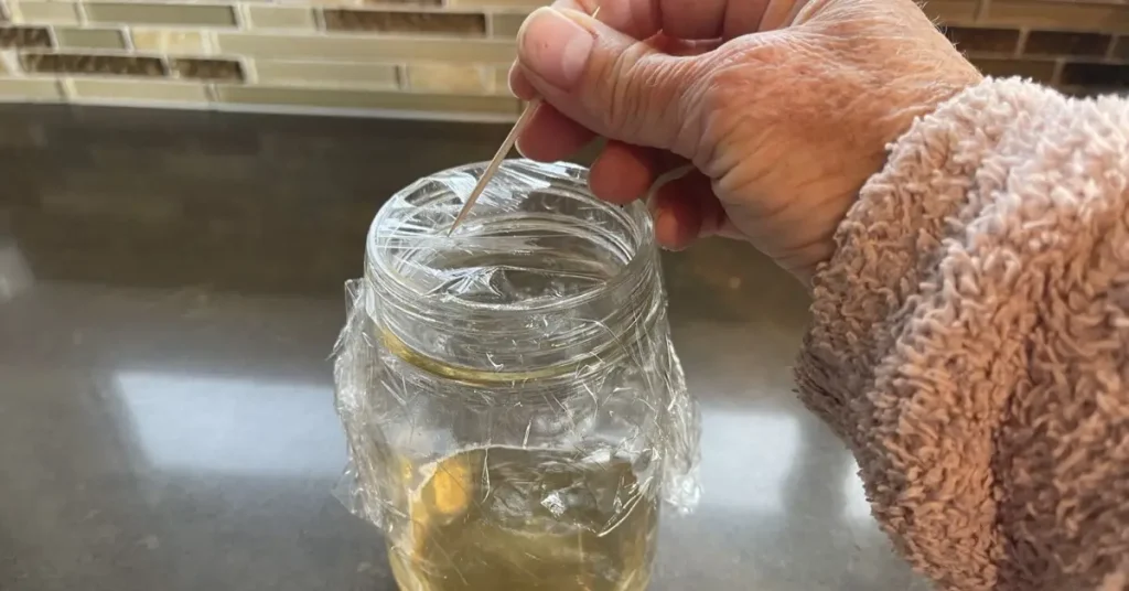 how to get rid of house flies with vinegar