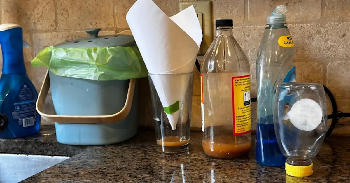 how to get rid of house flies with vinegar