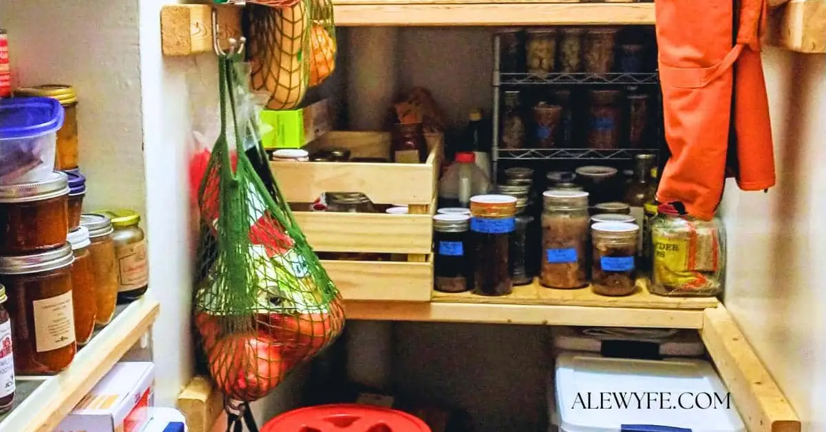 how to get rid of pantry moths