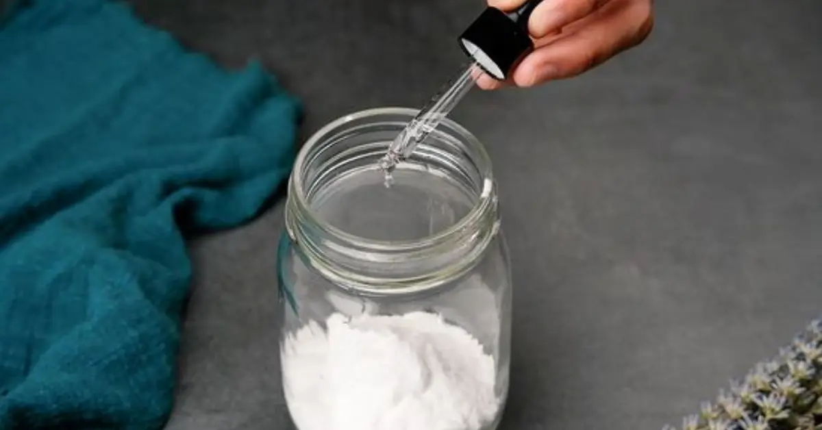 how to get rid of pet smell in house