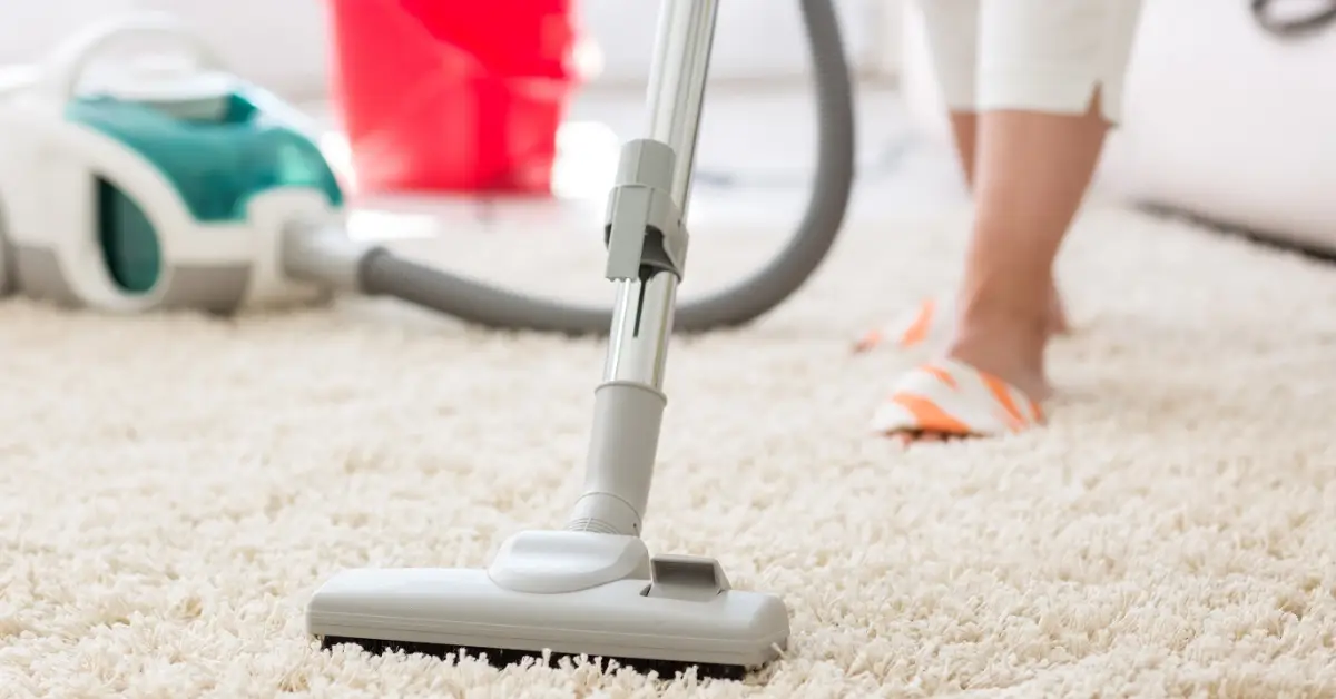 how to get rid of pet smell in house