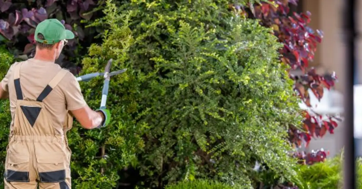 spots in your home attracting bugs