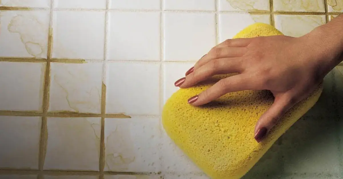 things you should never clean with a sponge