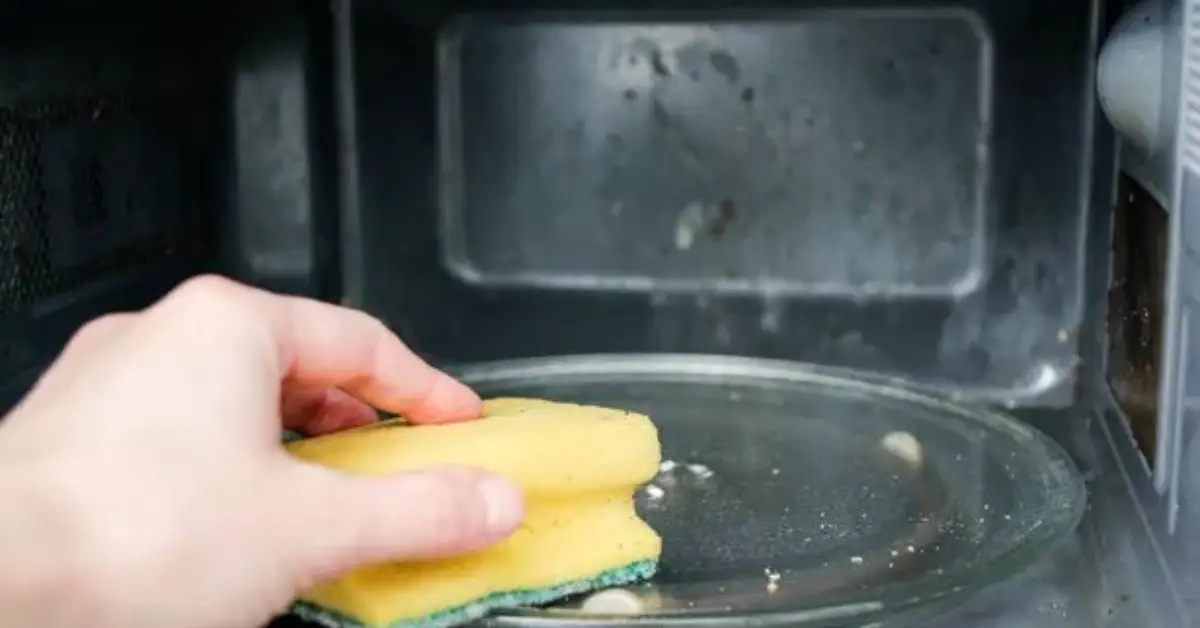 things you should never clean with a sponge