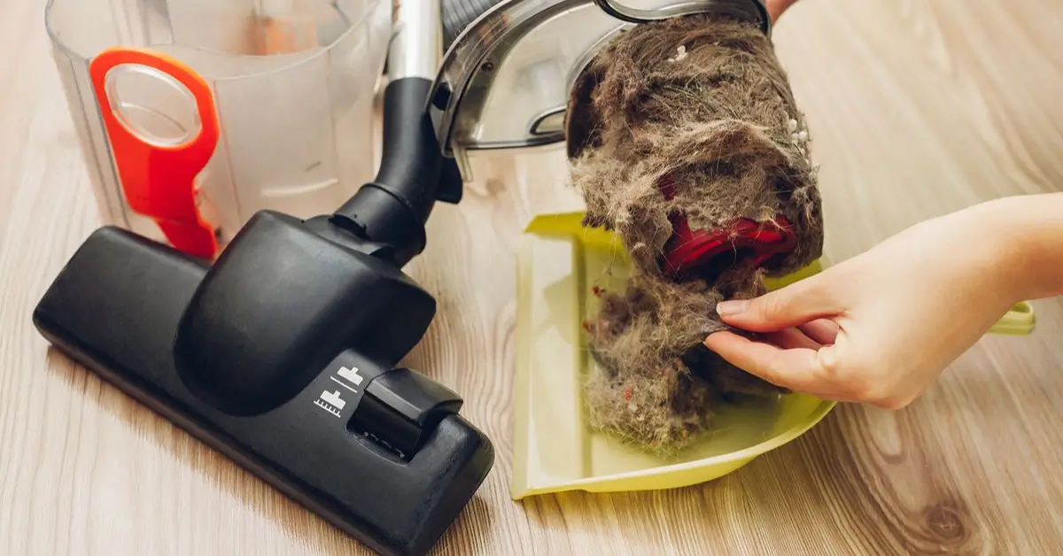 why is my house always dusty even though I clean daily