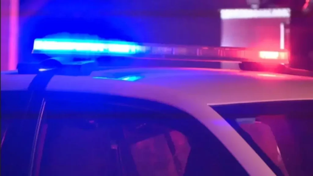 Alabama Home Robbery