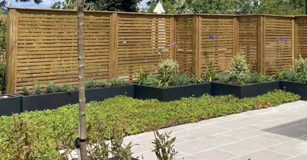 Budget-Friendly Fence Ideas