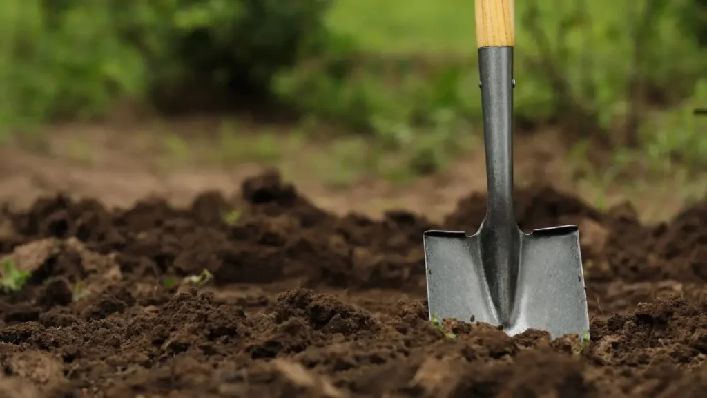 Call 811 before digging