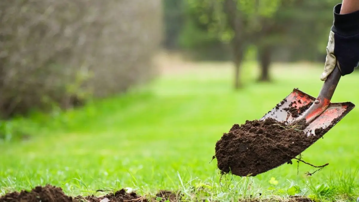 Call 811 before digging