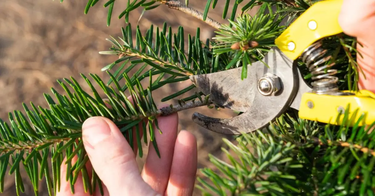 Christmas tree decorating mistakes