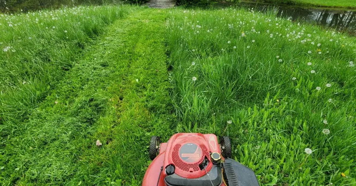 Lawn Mowing Etiquette Rules