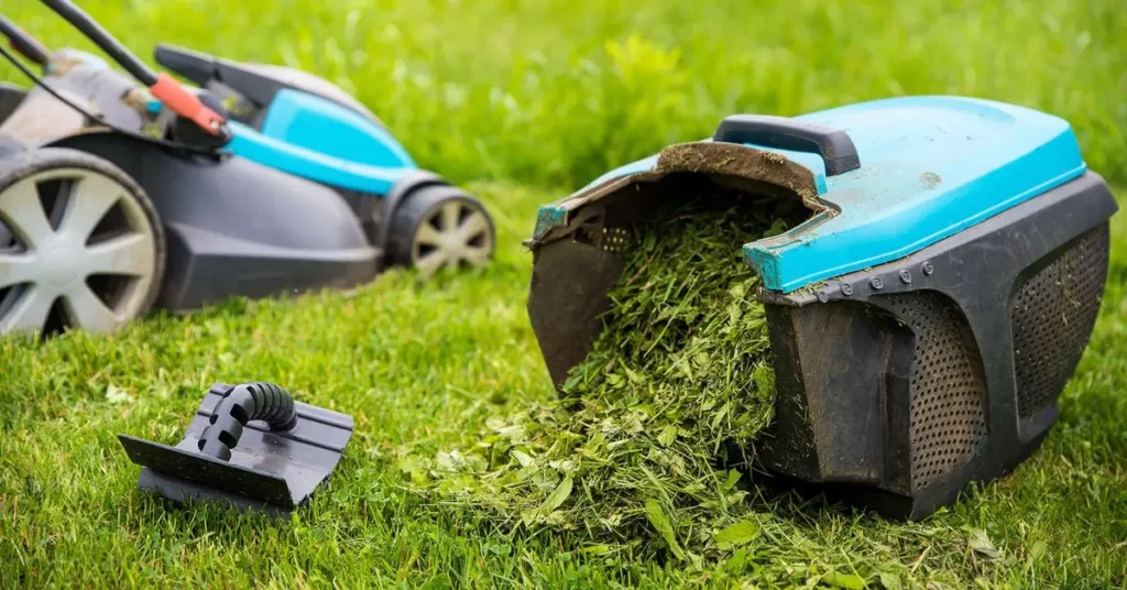 Lawn Mowing Etiquette Rules
