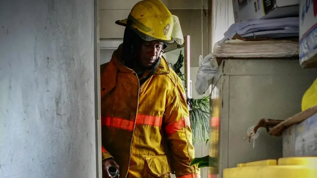 Pet Killed in New York House Fire