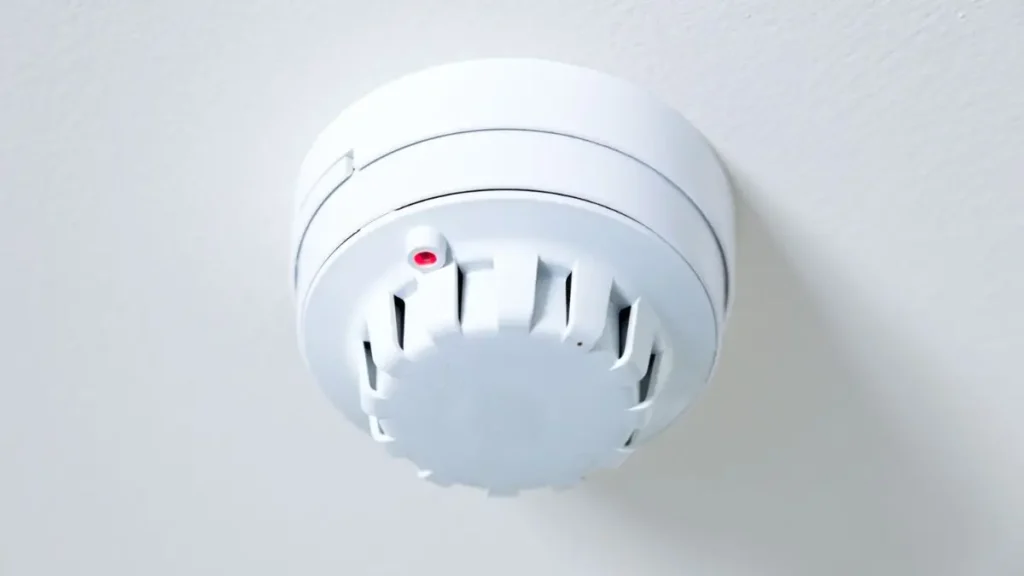 Pet Killed in New York House Fire