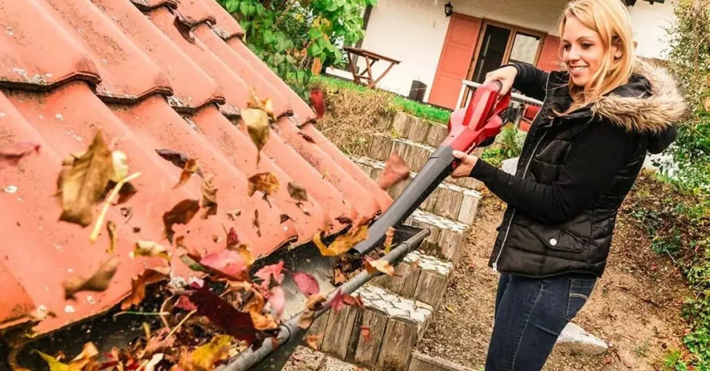 Use a Leaf Blower Inside and Outside Your Home