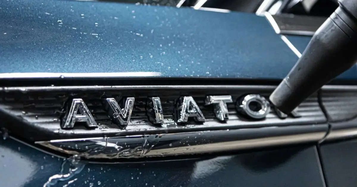 Use a Leaf Blower Inside and Outside Your Home