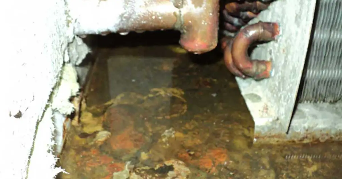 causes of ceiling stains