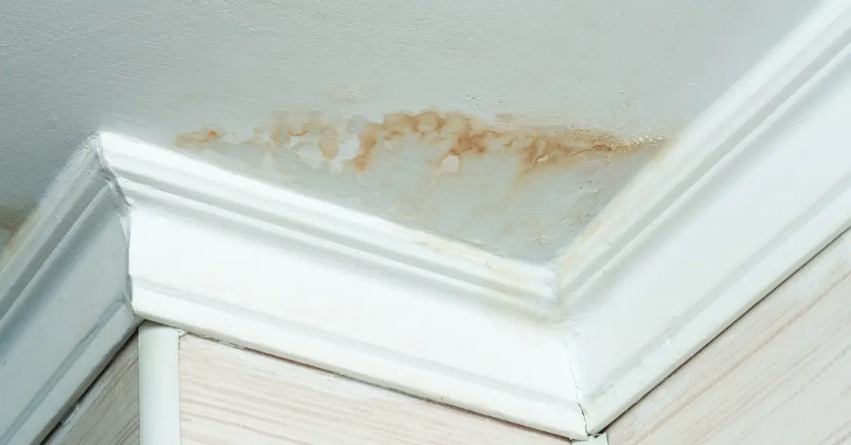 causes of ceiling stains